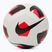 Nike Park Team 2.0 futbal biela/jasne purpurová/čierna veľkosť 4