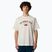 Pánske tričko The North Face Varsity Graphic white dune