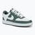 Dámske topánky Nike Court Vision Low Next Nature vintage green/white