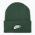 Zimná čiapka Nike Peak Futura Beanie jedľa/biela