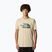 Pánske tričko The North Face Mountain Line Tee gravel