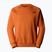 Pánska mikina The North Face Raglan Box Nse Crew iron bronz/tnf black