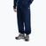 Pánska mikina The North Face Evolution Simple Dome Regular Hoodie summit navy