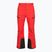 Pánske lyžiarske nohavice The North Face Chakal Regular elevation red