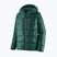 Pánska páperová bunda Patagonia Fitz Roy Down Hoody cascade green
