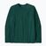 Pánske tričko longsleeve Patagonia P-6 Logo Responsibili cascade green