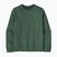 Pánska mikina Patagonia Fitz Roy Massif Daily Crew Canopy Green