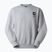 Mikina The North Face Celebration Relaxed Crew Graphic tnf light grey heather