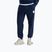 Pánske nohavice The North Face Evo Box Half Dome Regular Tappered summit navy