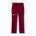 Dámske lyžiarske nohavice The North Face Lenado burgundy crush