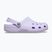 Šľapky Crocs Classic purple halo