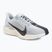 Pánske bežecké topánky Nike Pegasus Plus pure platinum/wolf grey/sail/anthracite