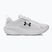 Pánske bežecké topánky Under Armour Assert 11 biele/čierne/distant gray