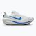 Pánske bežecké topánky Nike Winflo 12 white/off white/lapis/blue crystal