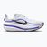 Pánske bežecké topánky Nike Winflo 12 off white/white/wolf grey/black