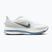 Pánske bežecké topánky Nike Pegasus Premium white/hydrogen blue/aluminum/grey fog