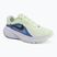 Pánske bežecké topánky Nike Downshifter 14 colt tint/white/black/black spruce