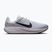 Pánske bežecké topánky Nike Quest 7 pure platinum/white/wolf grey/black