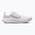 Pánske bežecké topánky Nike Quest 7 white/vast grey/vast grey/wolf grey