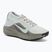 Pánske bežecké topánky Nike ACG Pegasus Trail GORE-TEX Light Silver/Light Army/Light Silver