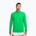 Pánska bežecká mikina Nike Stride 1/4 Zip Dri-Fit green spark