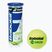 Tenisové loptičky Babolat Green 3 ks. žlté