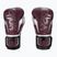 Boxerské rukavice Venum Elite Evo bordová/strieborná