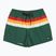 Pánske plavecké šortky Quiksilver Everyday Printed Volley 15" forest outside stripe
