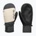 Pánske snowboardové rukavice DC Franchise Mitt 10K oatmeal