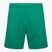 Pánske futbalové šortky Capelli Sport Cs One Adult Match green/white