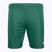 Detské futbalové šortky Capelli Sport Cs One Youth Match green/white