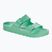 BIRKENSTOCK Arizona EVA Regular žabky bold jade