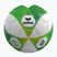 Detská futbalová lopta  Erima Hybrid Lite 290 size 5 green gecko/lime
