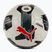 Futbalová lopta PUMA Orbita 1 TB FIFA Quality Pro puma white/puma black veľ. 5