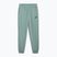 Pánske tepláky PUMA ESS No. 1 Logo Sweatpants TR CL green moon