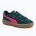 Dámske topánky PUMA Club Klassika Suede dark myrtle/puma pink