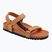 Scholl Heaven Ad Med hnedé sandále