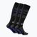 Lyžiarske ponožky Surfanic Pro Tech Plus 3 pack brilliant blue