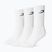 Pánske ponožky Boxraw Crew 3 szt. White