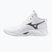 Volejbalové topánky Mizuno Wave Momentum Pro Mid white/metallic gray/black
