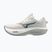 Pánske bežecké topánky Mizuno Wave Rider 30 foggy dew/dark slate/white