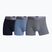 Pánske boxerky CR7 Basic Trunk 3 ks 710 multicolour