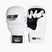 Grapplingové rukavice StormCloud Hurricane white/black