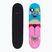 Fish Skateboards Pro Paul 8,25" klasický skateboard