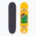 Fish Skateboards Beginner Superior 8,0" klasický skateboard