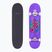 Fish Skateboardy Začiatočník Huron 8.0" klasický skateboard