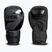 Boxerské rukavice StormCloud Lynx 2.0 black/black
