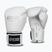 Boxerské rukavice StormCloud Muay Thai Blizzard 2.0 white/silver