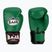 Boxerské rukavice RAJA BOXING Single Semi Leather green