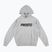 Pánska mikina PROSTO Biolog Hoodie gray